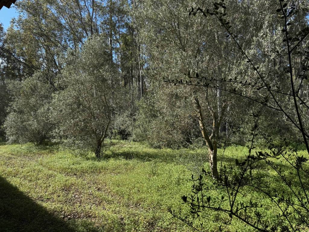 Villa a Uta - Foto 3