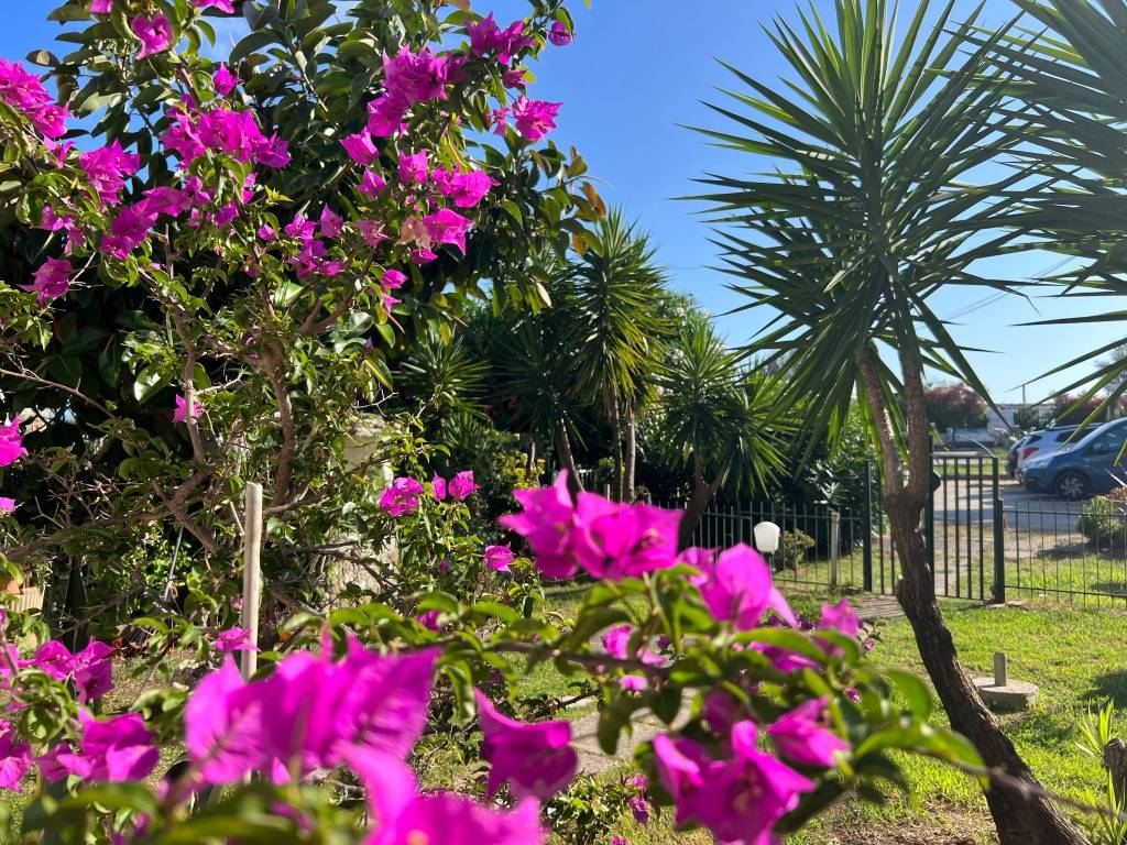 Villa a Ascea in Via Partigiano d'Angiolillo, 2 - Foto 3