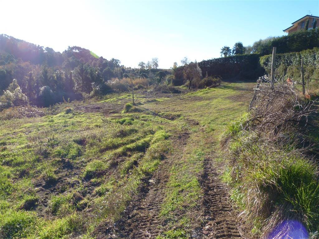 Terreno a Massarosa - Foto 2