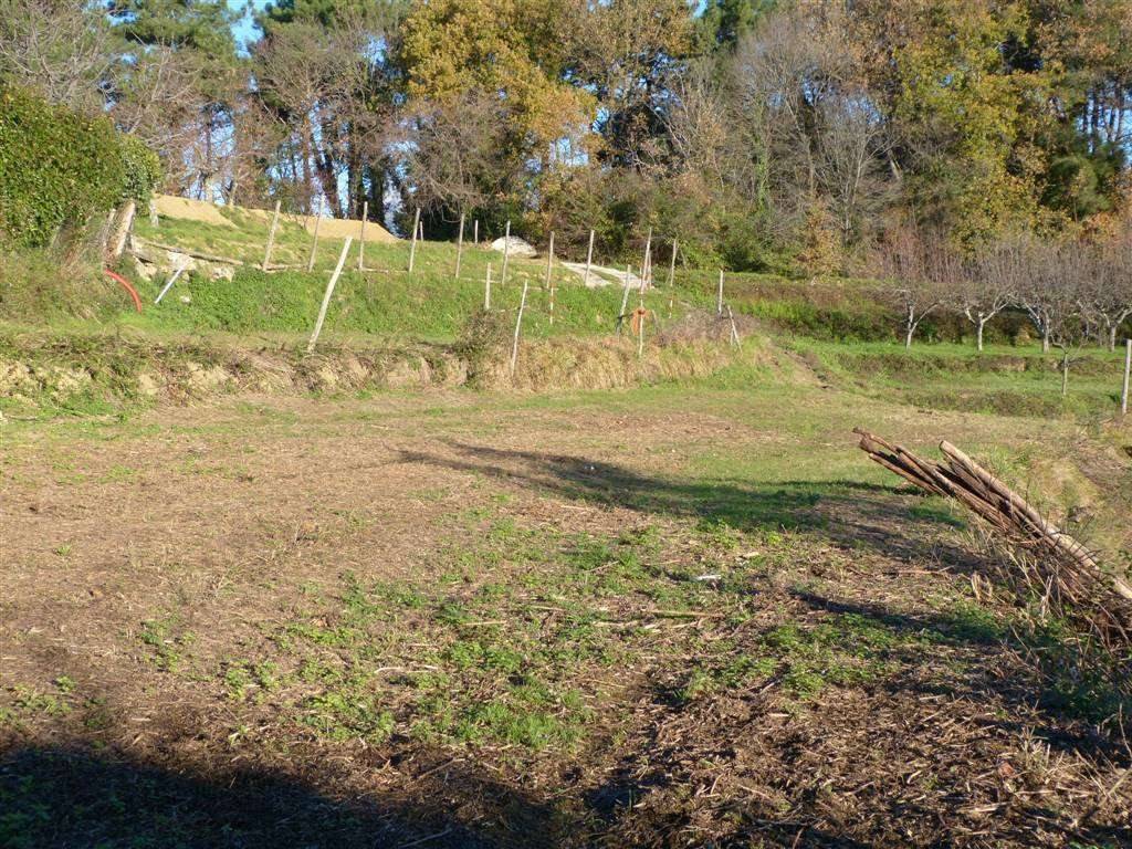 Terreno a Massarosa - Foto 3