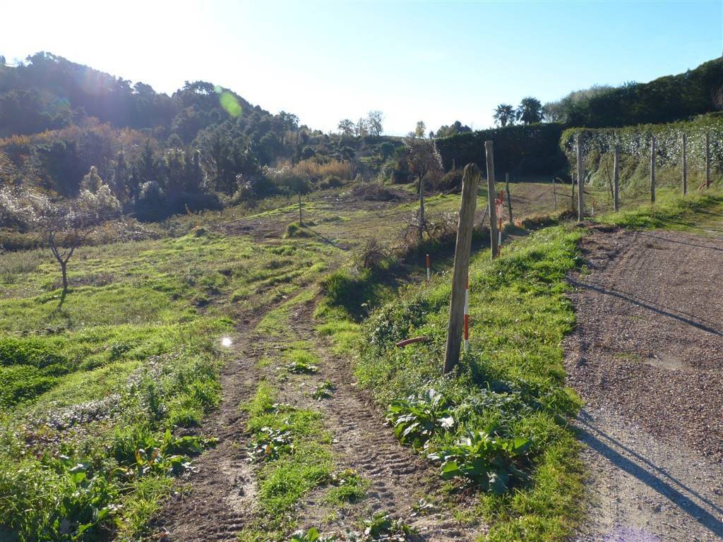 Terreno a Massarosa - Foto 4