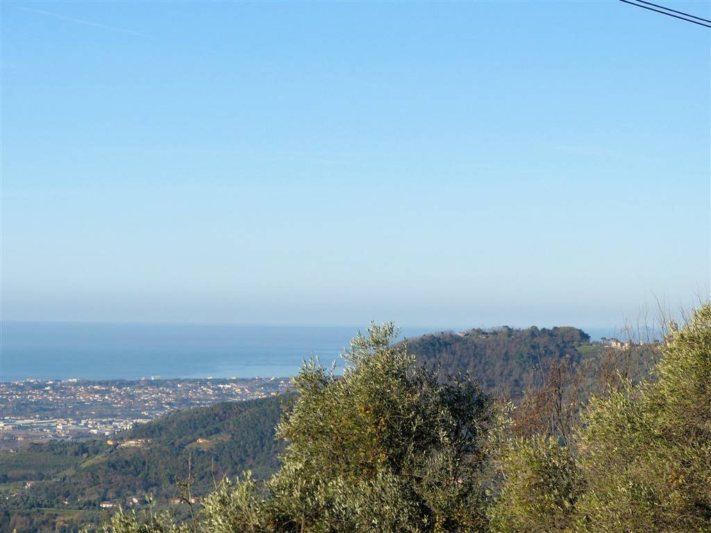Terreno a Massarosa - Foto 3