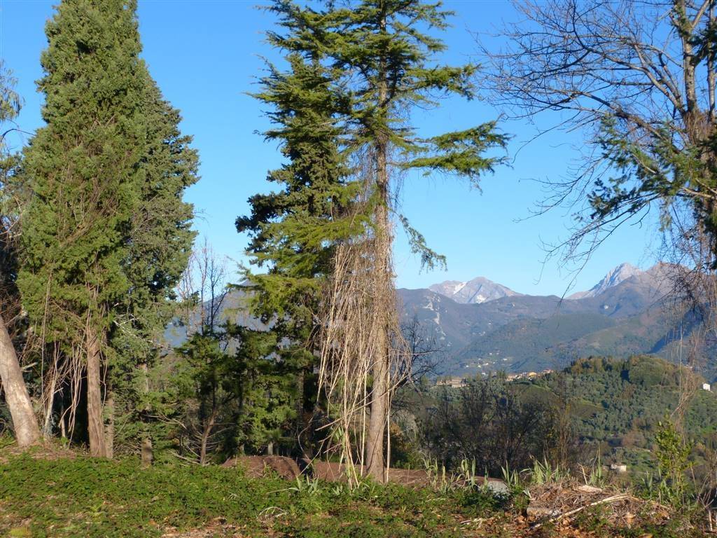 Terreno a Massarosa - Foto 5