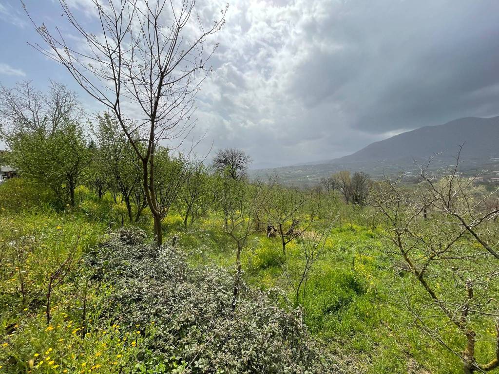Terreno a Capriglia irpina in Via Fontana di Fuori - Foto 3