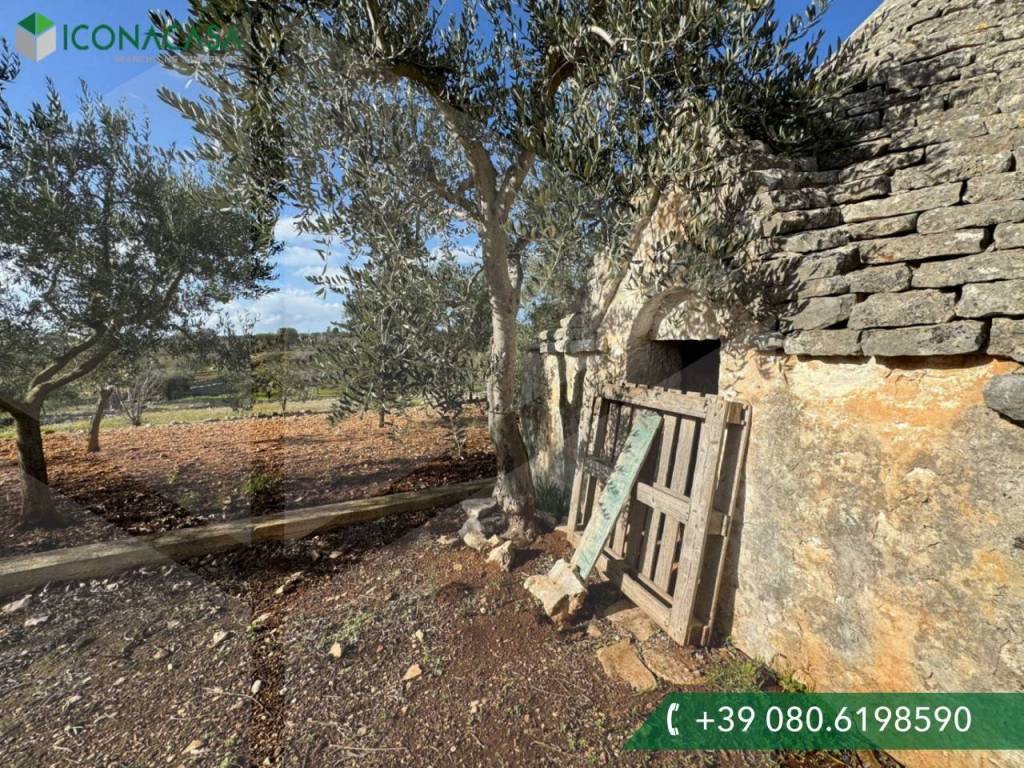 Rustico / casale a Monopoli in Contrada Romanazzi - Foto 3