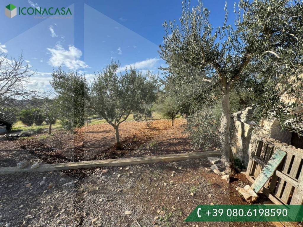 Rustico / casale a Monopoli in Contrada Romanazzi - Foto 4
