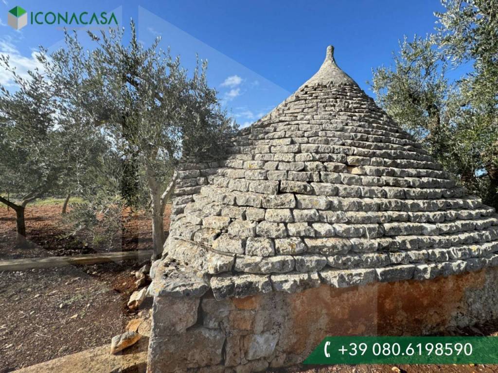 Rustico / casale a Monopoli in Contrada Romanazzi - Foto 5
