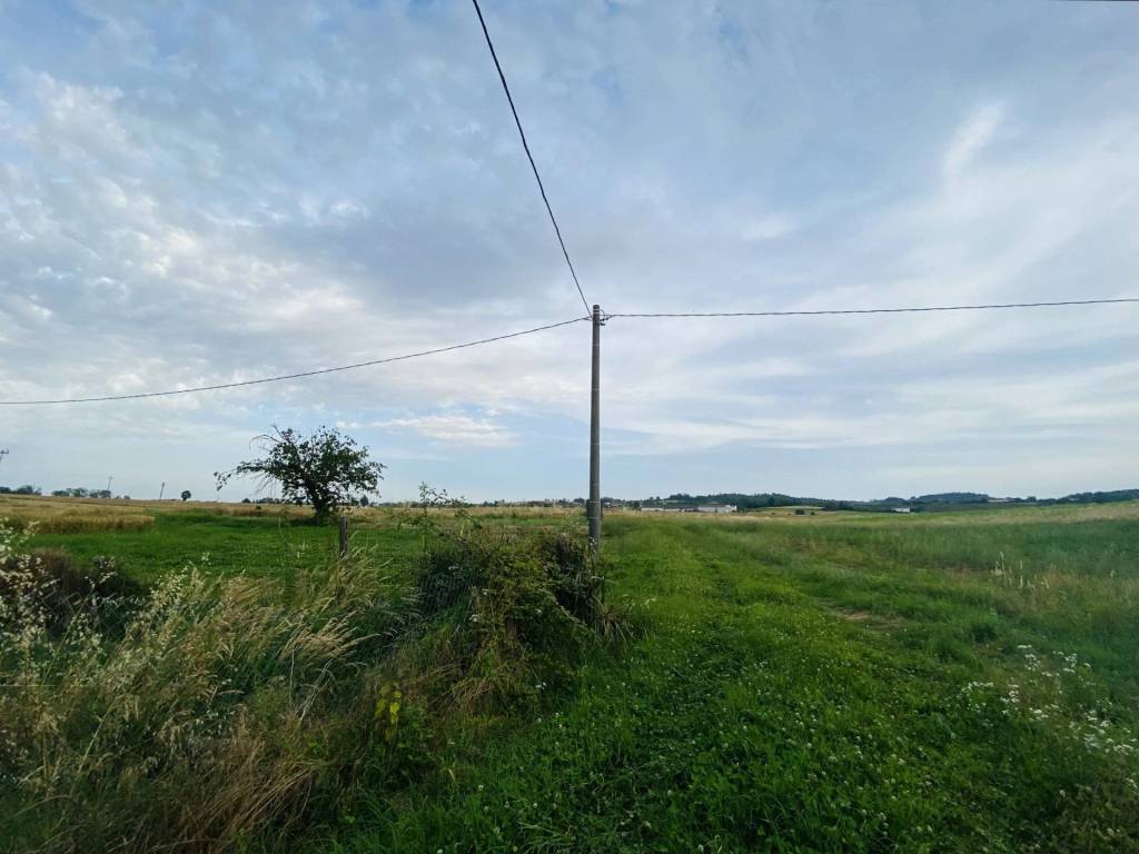 Rustico / casale a San salvatore monferrato in Località Vo - Foto 3