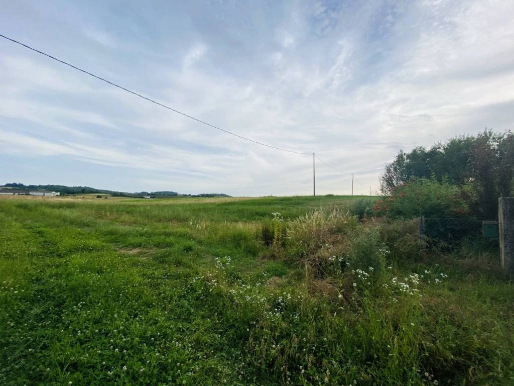 Rustico / casale a San salvatore monferrato in Località Vo - Foto 4