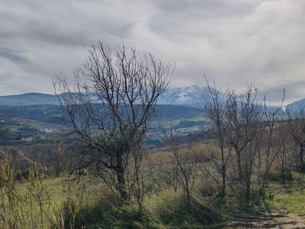 Terreno a Torre de' passeri - Foto 2