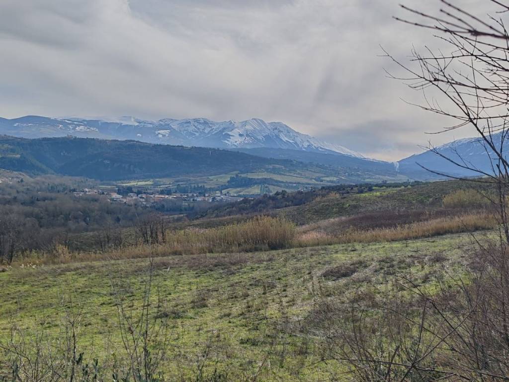 Terreno a Torre de' passeri - Foto 4