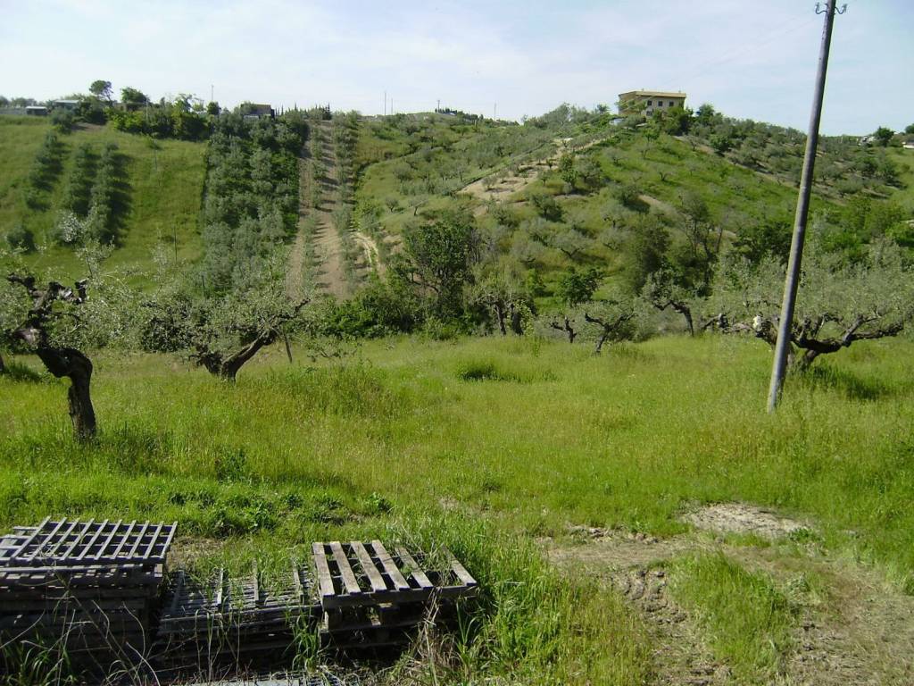 Terreno a Spoltore in Villa Santa maria - Foto 2