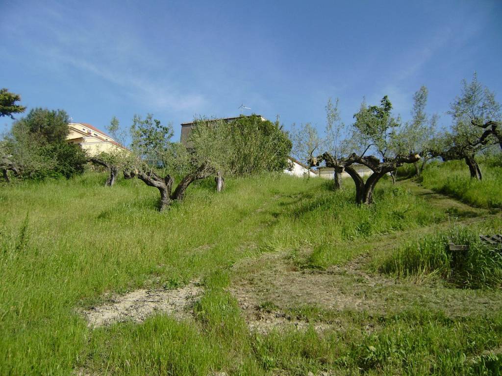 Terreno a Spoltore in Villa Santa maria - Foto 3