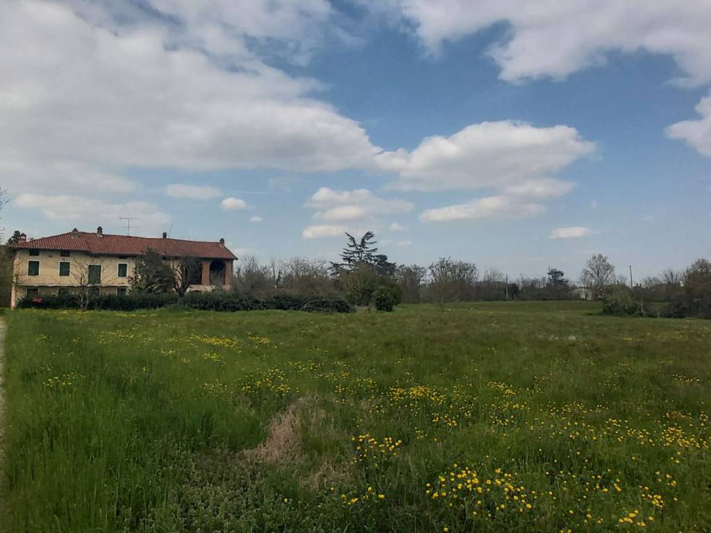 Rustico / casale a Quattordio - Foto 3