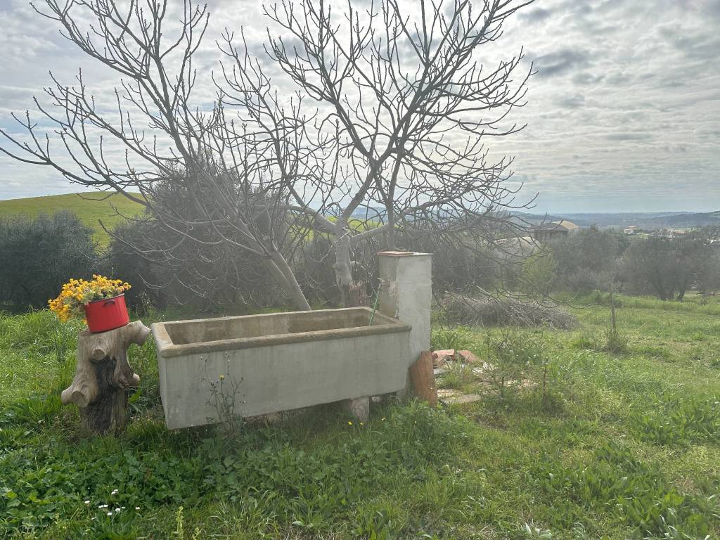 Rustico / casale a Campagnatico in Strada Comunale Vergheria - Foto 5