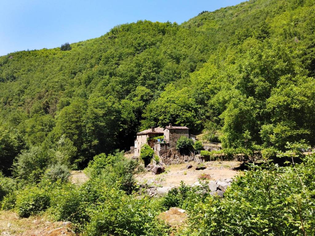 Casa indipendente a Pieve fosciana - Foto 2