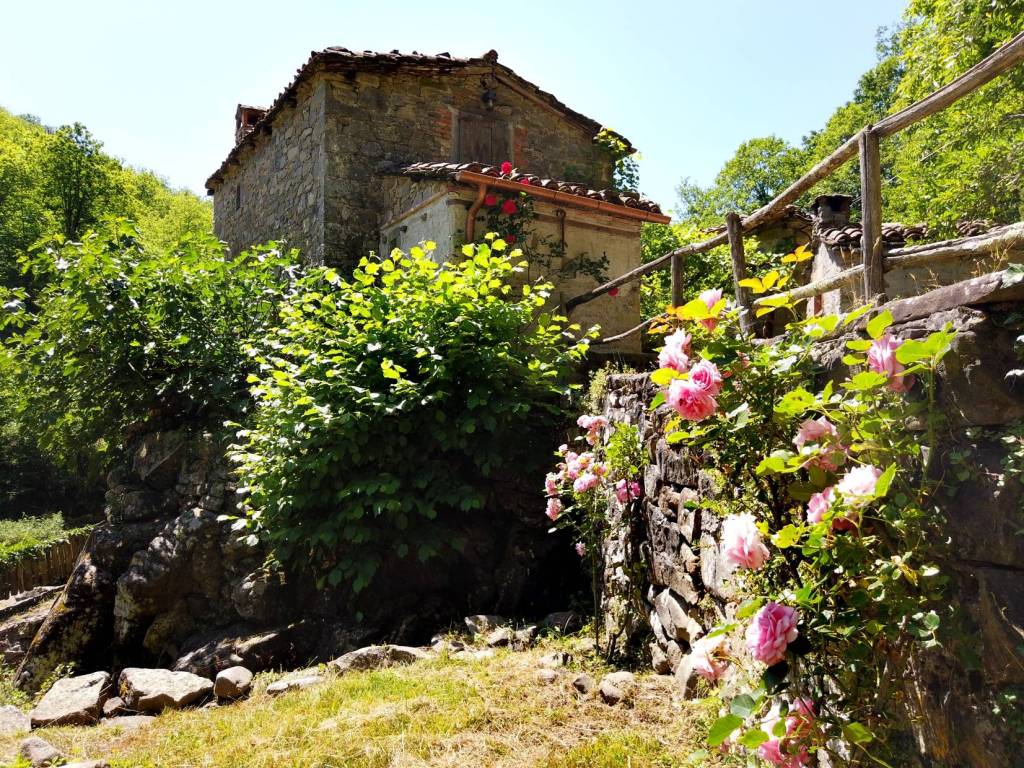 Casa indipendente a Pieve fosciana - Foto 4