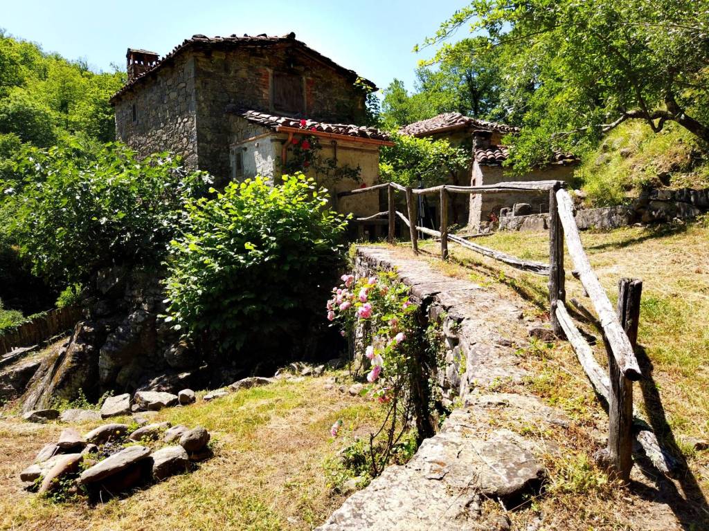 Casa indipendente a Pieve fosciana - Foto 5