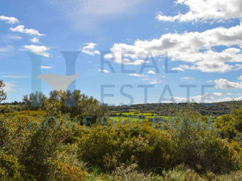 Terreno a Noto in Via Tommaso Fazello, 228 - Foto 3