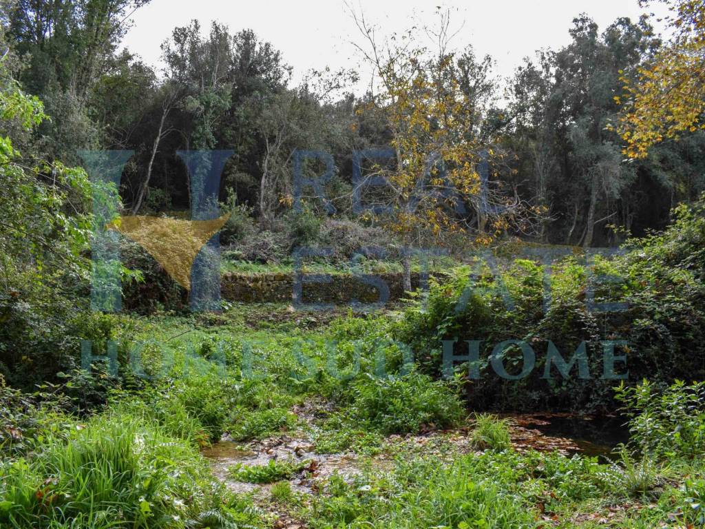 Terreno a Noto in Via Tommaso Fazello, 228 - Foto 5