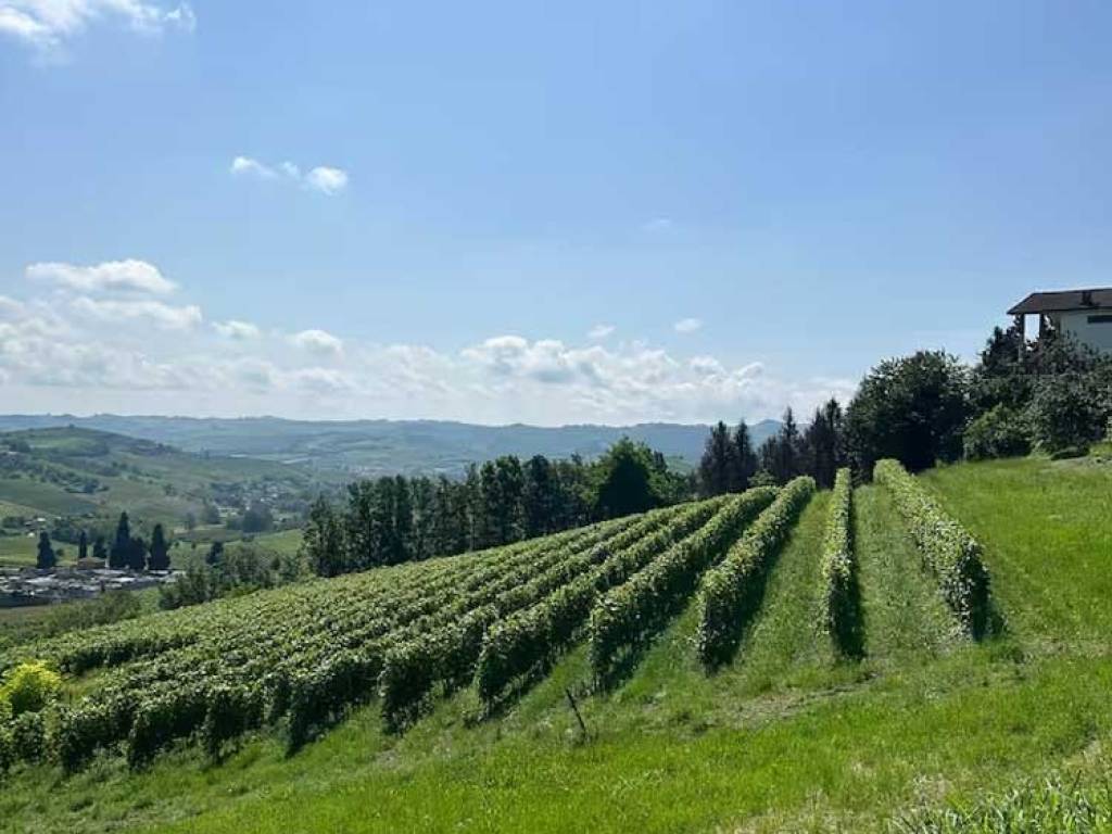 Villa a San marzano oliveto - Foto 4