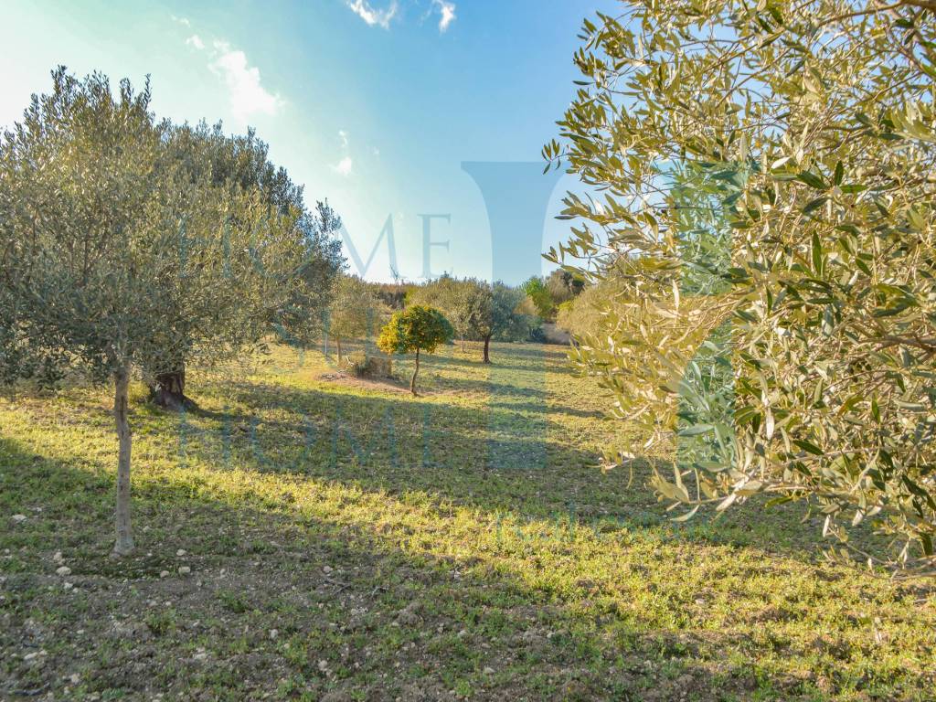 Rustico / casale a Noto - Foto 5