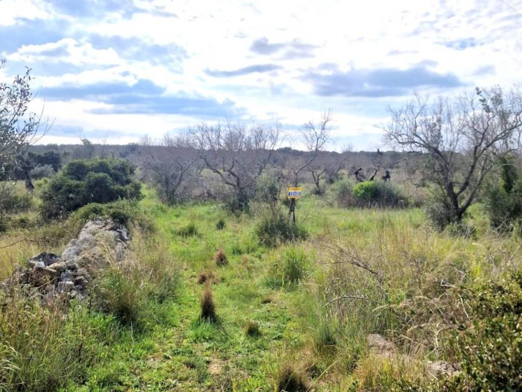 Terreno a Specchia in Ctr Serra Peccatori - Foto 2