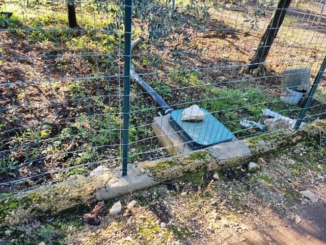 Terreno a Bisceglie - Foto 5