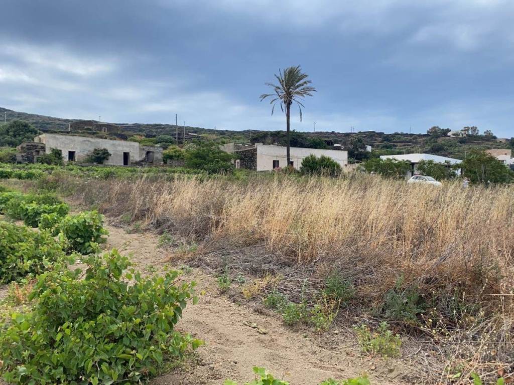 Rustico / casale a Pantelleria in Gadir - Foto 5