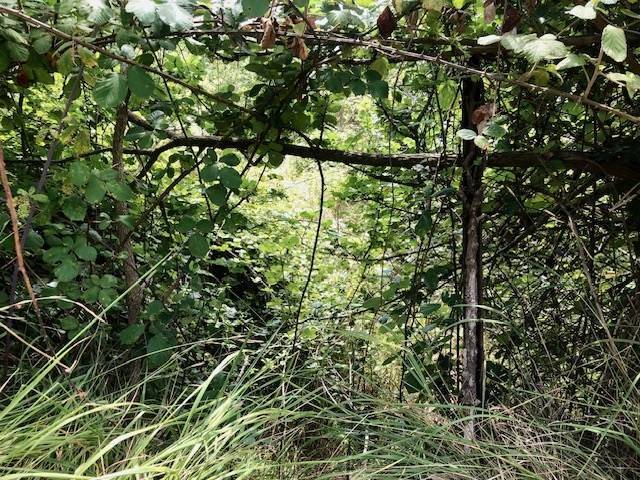 Terreno a Salerno - Foto 2