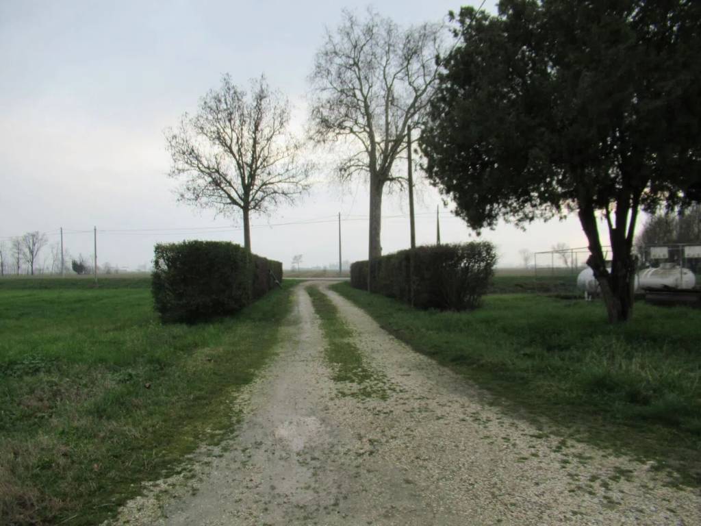 Villa a Pegognaga in Oltre Po No Number - Foto 4