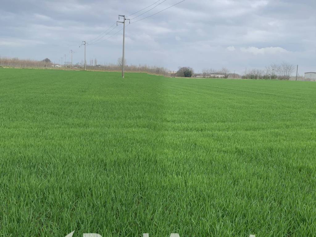 Terreno a Canneto sull'oglio in Via Grazia Deledda - Foto 2