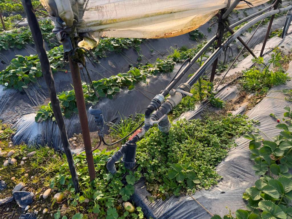 Terreno a San giovanni lupatoto in Via Fossa Crear - Foto 4