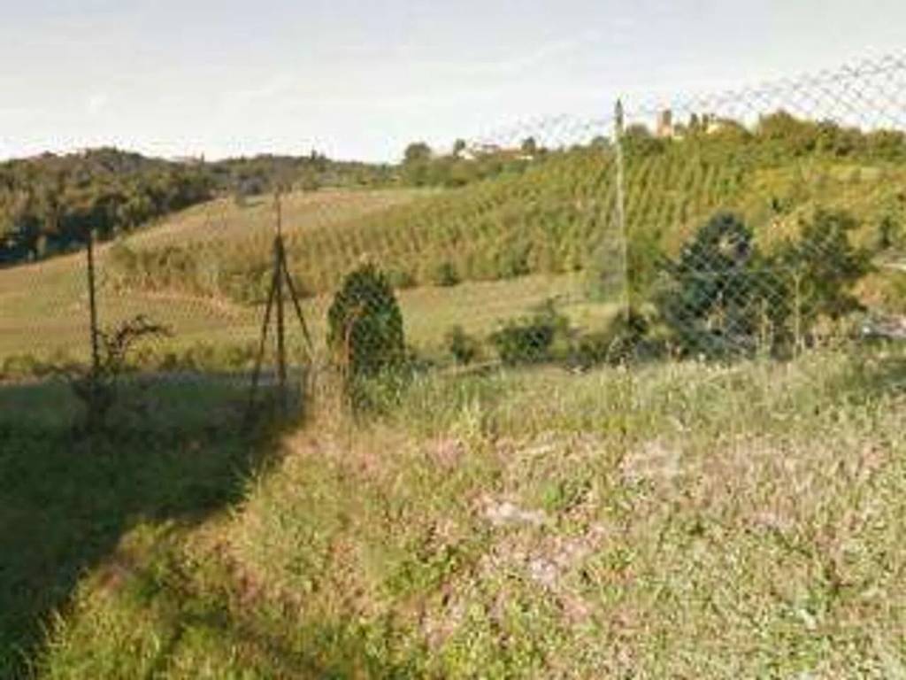Terreno a Pietrasanta - Foto 4