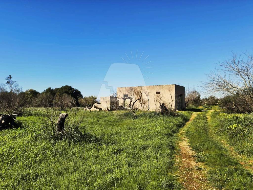 Terreno a Morciano di leuca in Strada Comunale Morciano Barbarano - Foto 4