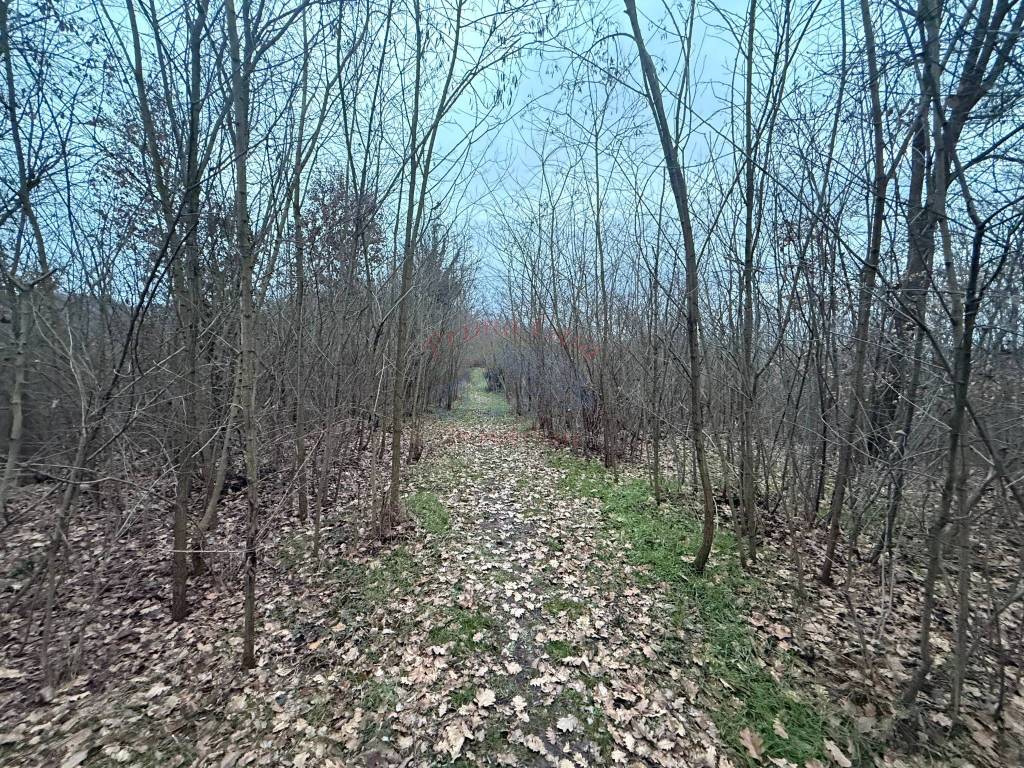 Terreno a Bruno in Via Duca d'Aosta - Foto 2