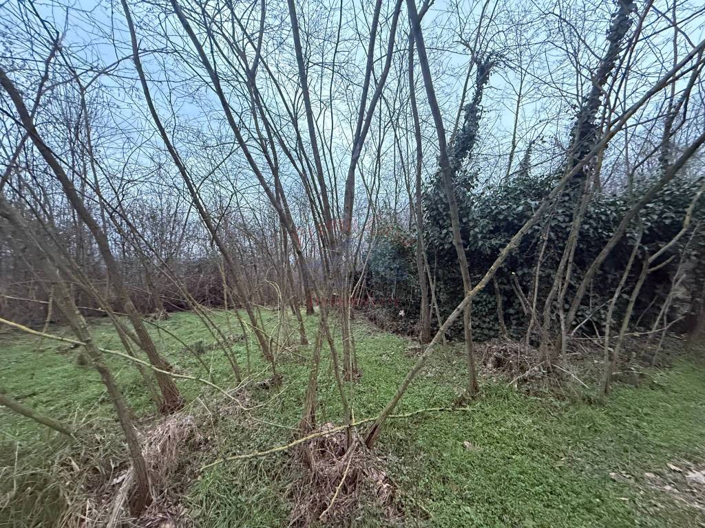 Terreno a Bruno in Via Duca d'Aosta - Foto 3