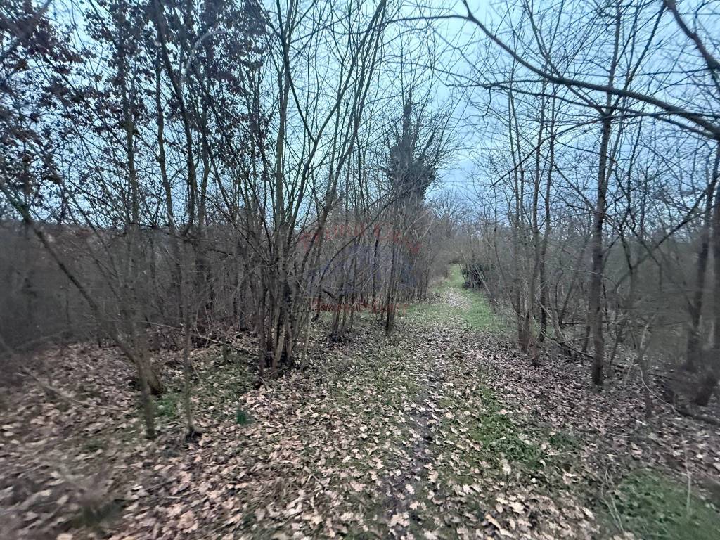 Terreno a Bruno in Via Duca d'Aosta - Foto 4