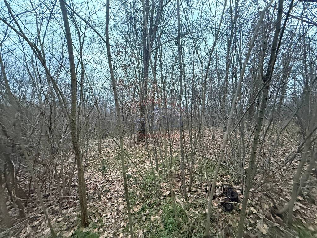 Terreno a Bruno in Via Duca d'Aosta - Foto 5