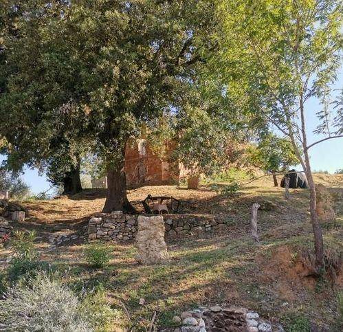 Rustico / casale a San gimignano - Foto 4