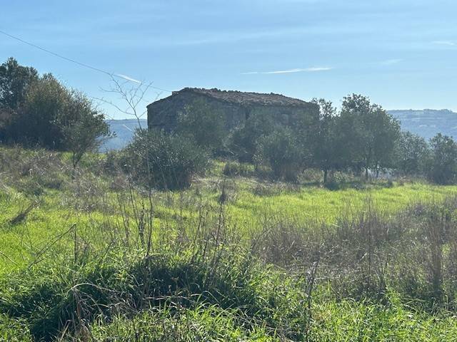 Rustico / casale a San casciano dei bagni in Località Cammattole - Foto 3