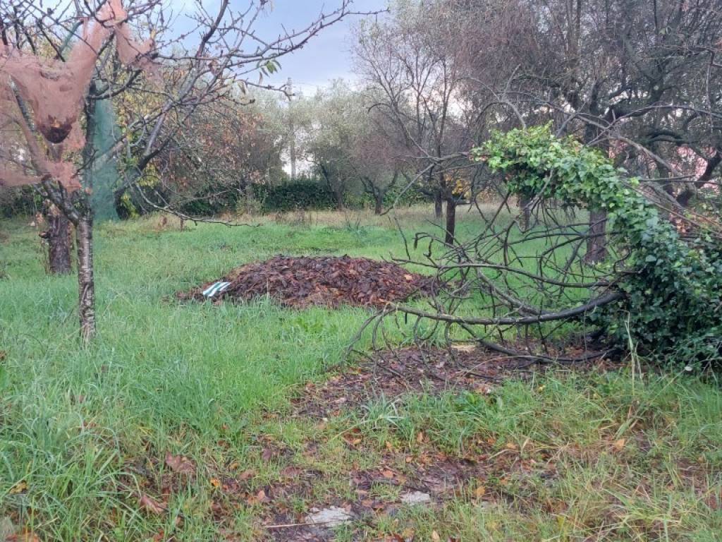 Terreno a Castelnuovo magra in Via del Maggiore, 7 - Foto 2