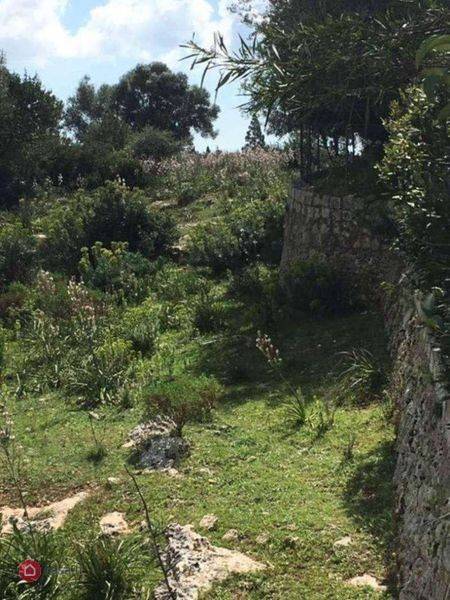 Terreno a Noto in Strada Statale 287 - Foto 3