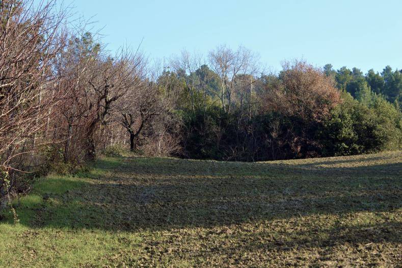 Terreno a Senigallia in Strada della Bruciata - Foto 2