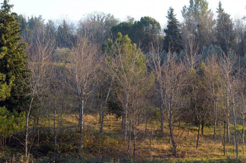 Terreno a Senigallia in Strada della Bruciata - Foto 3