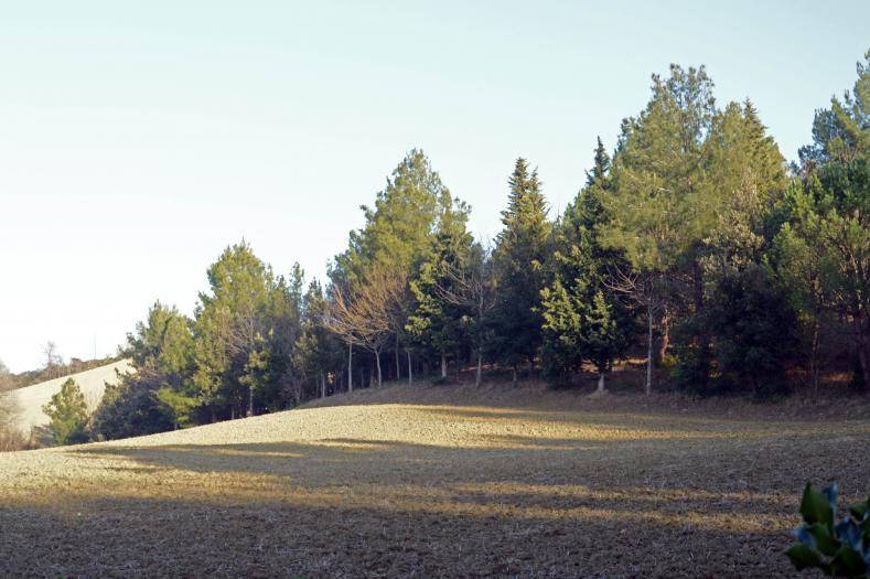 Terreno a Senigallia in Strada della Bruciata - Foto 5