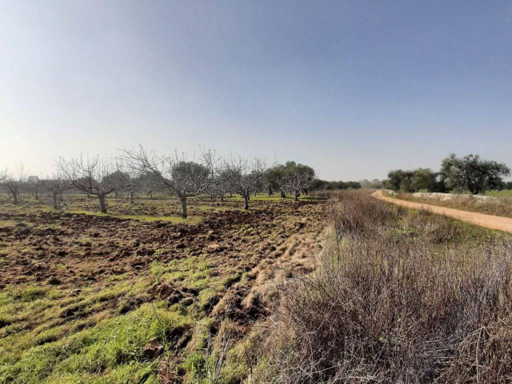 Terreno a Acquaviva delle fonti in Strada Vicinale del Monte - Foto 2