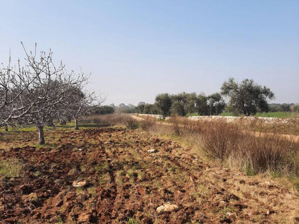 Terreno a Acquaviva delle fonti in Strada Vicinale del Monte - Foto 4