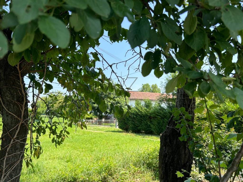 Rustico / casale a Castelfranco veneto in Via Cervan - Foto 2