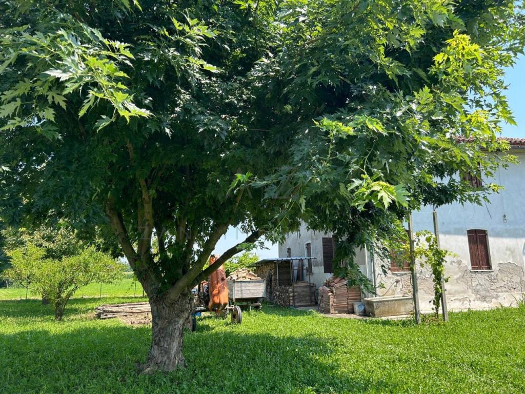 Rustico / casale a Castelfranco veneto in Via Cervan - Foto 3